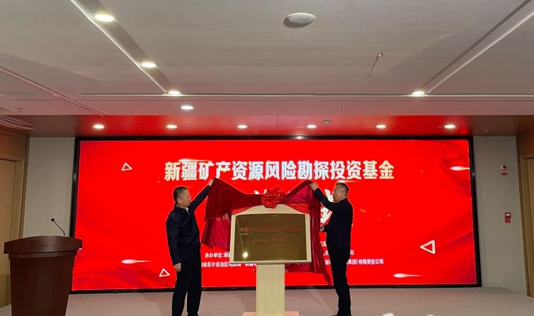 厅,财政厅牵头,组织自治区地质局,新疆地矿投资